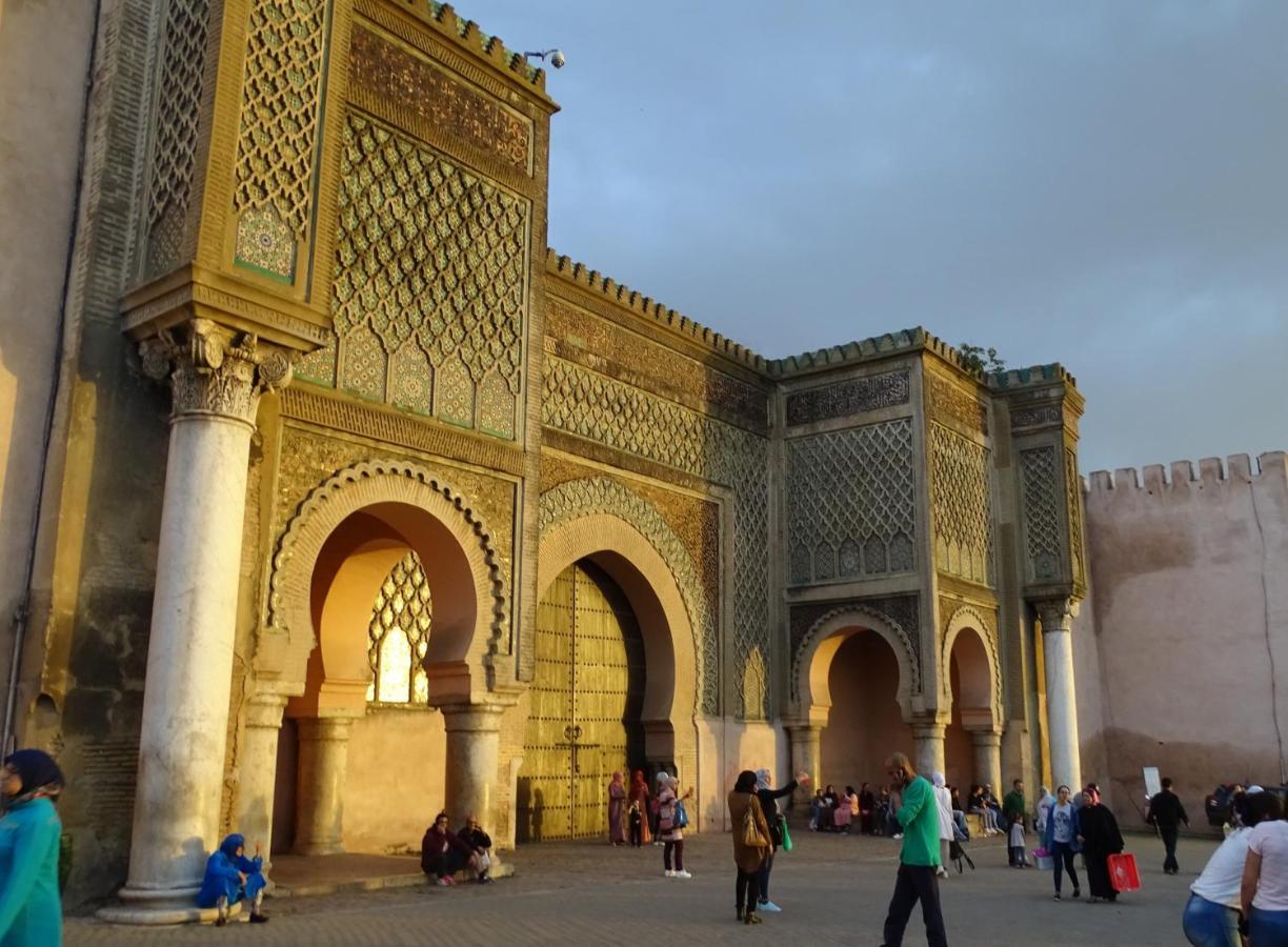 Riad Alkatib مكناز المظهر الخارجي الصورة