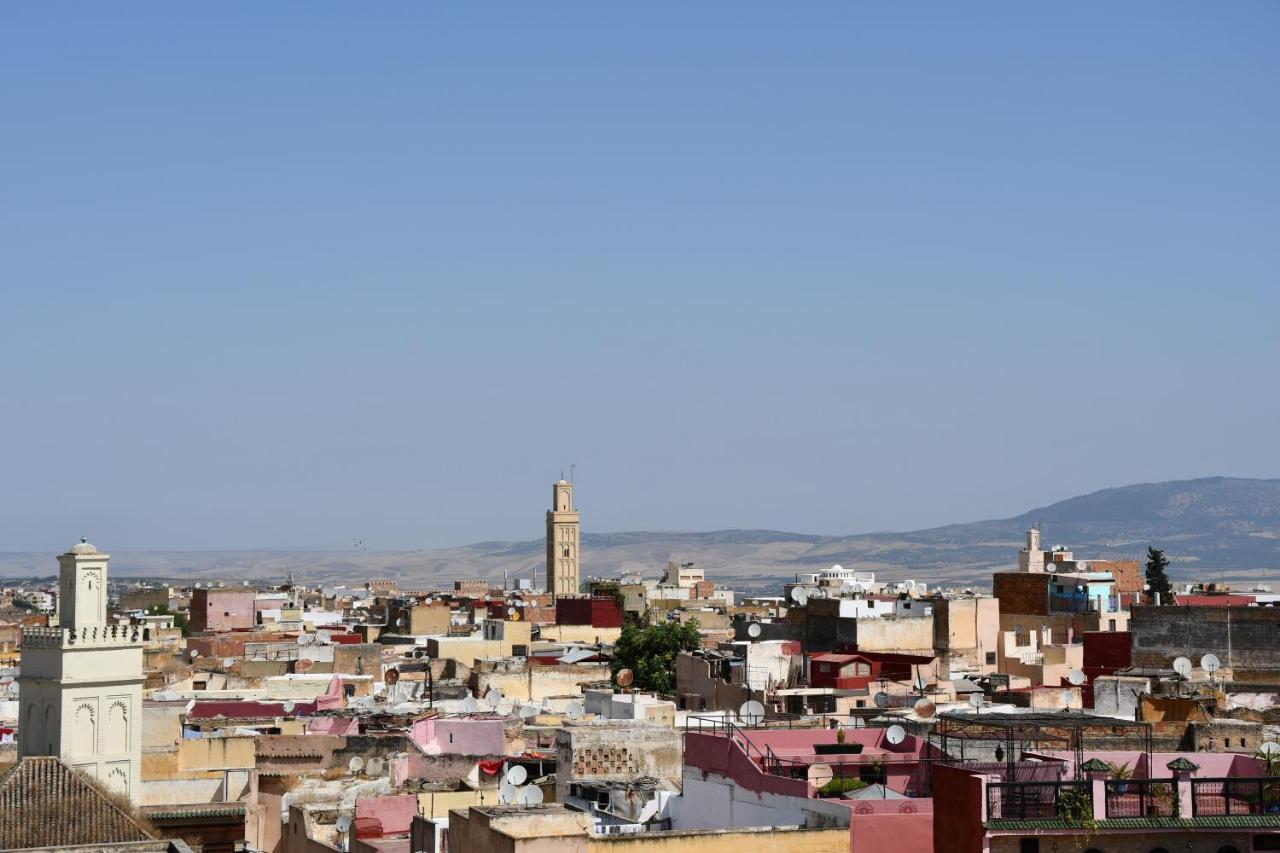Riad Alkatib مكناز المظهر الخارجي الصورة
